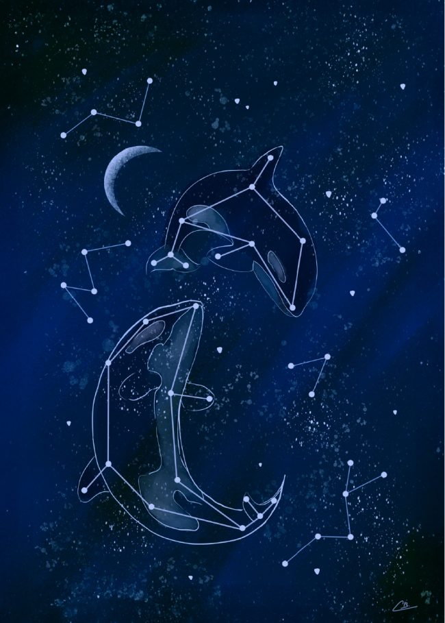 Illustration d'orques astrologie