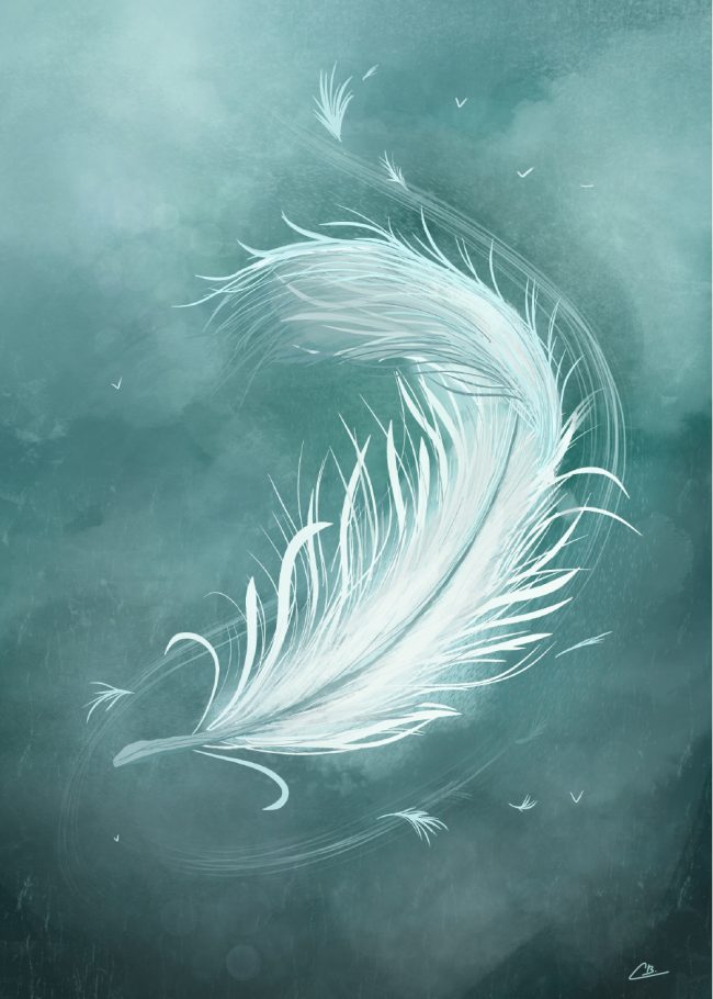 Illustration d'une plume blanche qui vole
