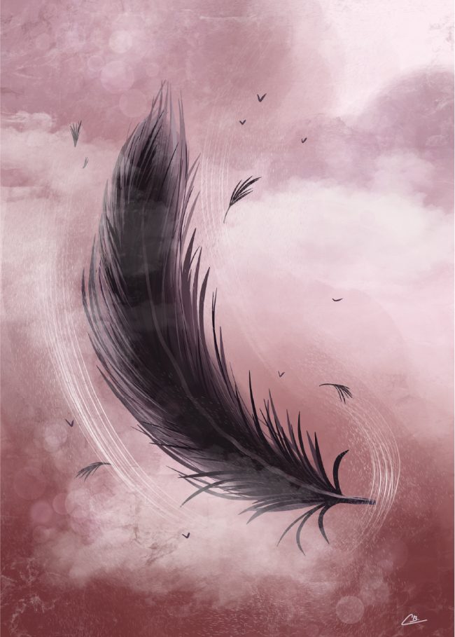 Illustration d'une plume noire qui vole