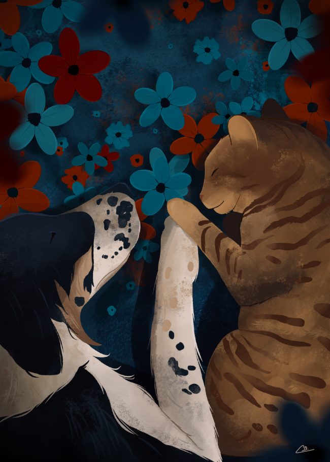 Illustration d'un border collie berger australien avec un chat de gouttière