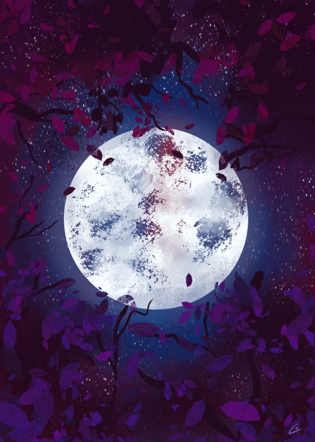Illustration de la pleine lune