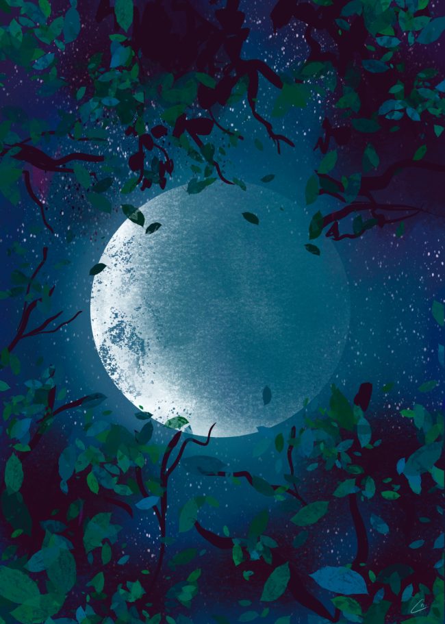 Illustration d'une lune sur un fond étoilé