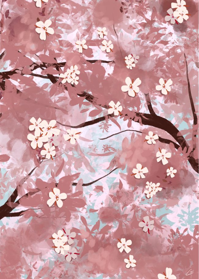 Illustration de fleurs de cerisier rose